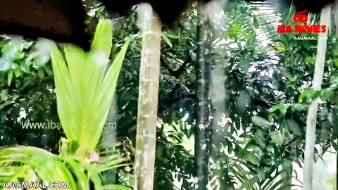 Lush green palm fronds and tropical trees in outdoor jungle background from IBA Movies