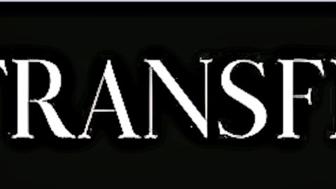Bold white TRANSFEST watermark text on black background for trans porn fest