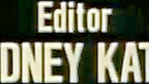 Vintage 1982 Cafe Flesh uncut porn title card, VCA studio