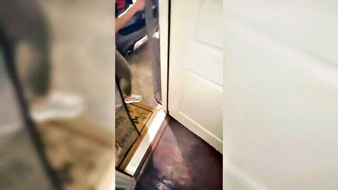 Alyssia Vera welcoming neighbor at door for breeding creampie session