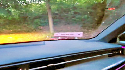 POV car view of sunny outdoor park bench surrounded by green trees