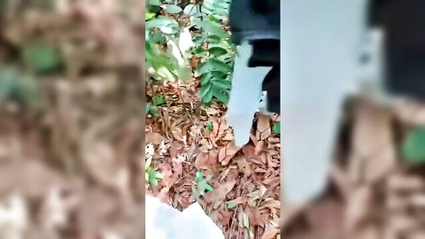 Blurry outdoor scene of young couple in garden, viral Indonesian amateur video thumbnail