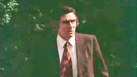 Handsome suited man in garden from 1976 erotic film Dora the Frenzy of Pleasure