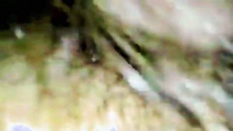 Blurry couple in straight sex with visible hairy pussy and hairy bodies thrusting passionately.