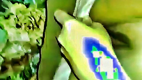 Female hand holding white toy amid lush green foliage, sexy solo tease