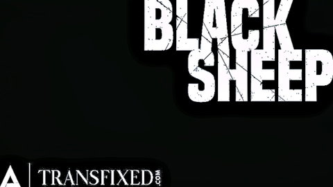 Izzy Wilde in Black Sheep trans hookup scene from Transfixed