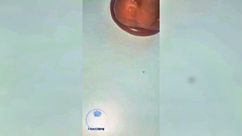 EdgarEdging ASMR close-up of dangling transgender cock replica blowing tease
