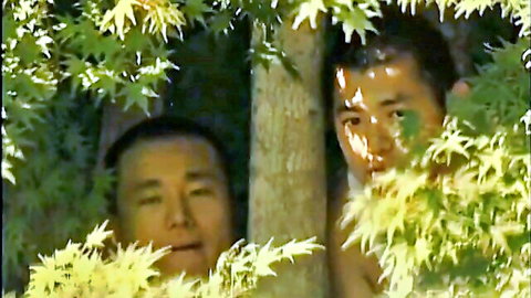 Two shirtless Japanese men peeking through lush green foliage from behind a tree trunk