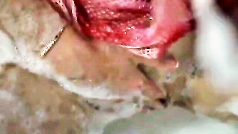 Sexy wife masturbating wildly in bubbly bathtub close-up
