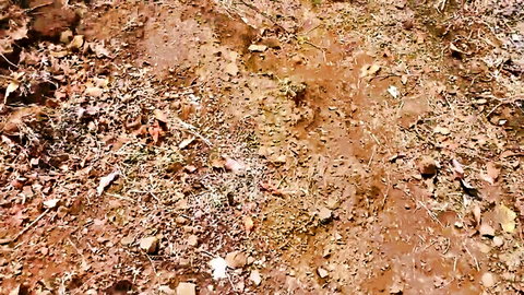 Kavita in naughty outdoor muddy creampie village scene