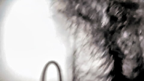 Blurry close-up of mature Korean woman's side profile in adult confession video