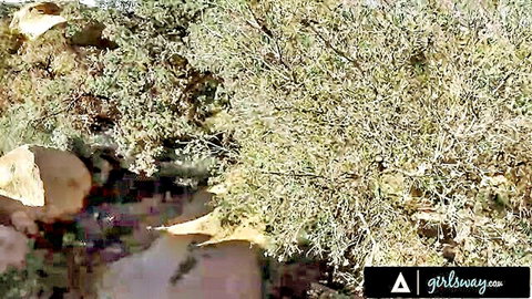 Blurry pixelated outdoor bushes stream and rocks with girlsgonewild watermarks