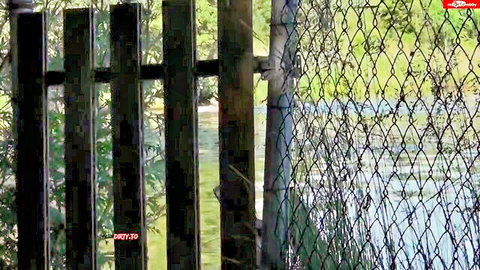 Pretty_Girl's first public outdoor fuck by the lake fence
