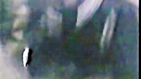 Blurry voyeur glimpse in Tokyo Disneyland toilet stall