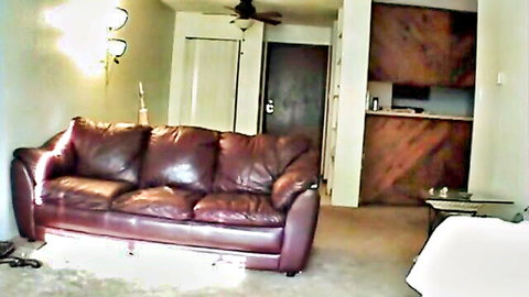 Empty living room interior with brown leather sofa and kitchenette awaiting hot action