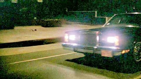 Vintage 1984 adult film Stiff Competition thumbnail: nighttime street car scene