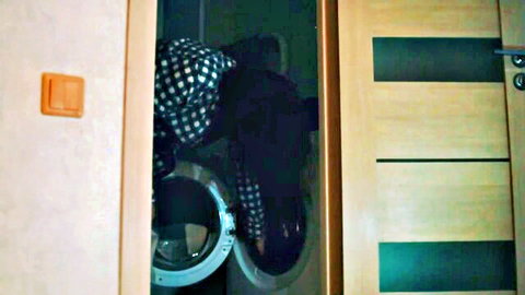 Stepsister stuck in laundry room washing machine with checkered clothes hanging