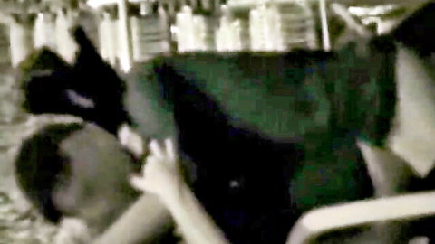 Blurry night beach scene of amateur couple in doggy style sex