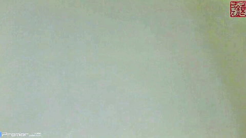 Blank pale green frame from Japanese adult video with red kanji stamps