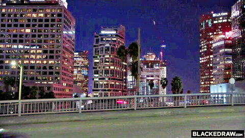 Vibrant nighttime Los Angeles skyline with lit skyscrapers palm trees and highway bridge