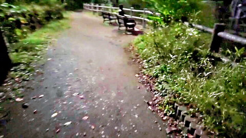 Outdoor night couple on bench intimate moment Japanese amateur