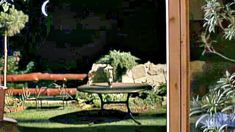 Moonlit night garden patio with wooden table, plants, rocks and shadows