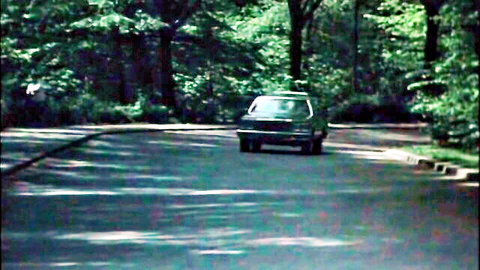 Vintage green car on wooded outdoor road in retro forest scene