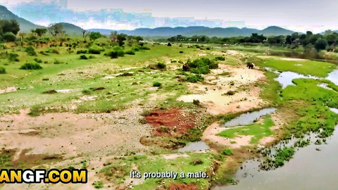 Scenic aerial view of lush green savanna landscape with winding river and distant hills
