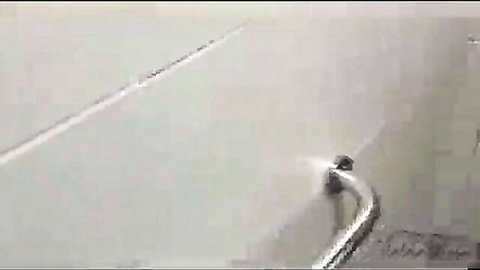 Stepmom fucked in store bathroom then anal at home