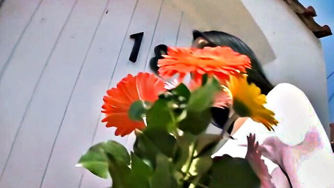 Brunette woman with long hair smiling behind vibrant orange gerbera flowers at house number 18