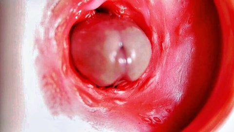 Close-up internal view of pulsating pussy squeezing cock during penetration