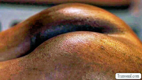 Shiny oiled trans ass close-up showing spread cheeks and tight puckered anus