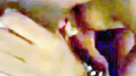 South Asian woman's hand grips thick dark cock with red nails in closeup