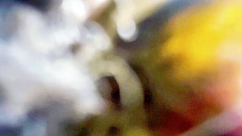 Blurry close-up of yellow fluid squirting and splashing intensely