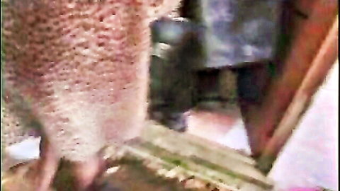 Ben Dover's intense butt banger doggy style with curvy blonde in fishnets, 1998 classic