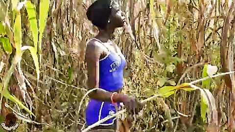 Ebony African woman in tight blue tank top and shorts posing in maize field