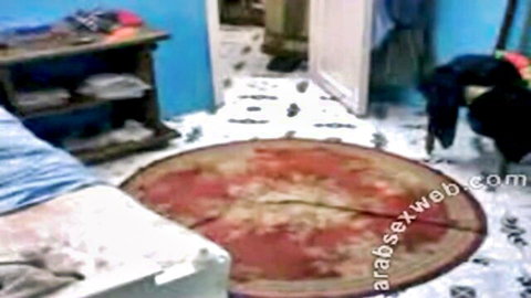 Egyptian sharmota in blue shirt and white pants lying seductively on rug, 2022 amateur