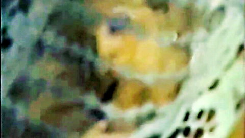 Blurry vintage blonde babe in green lace lingerie closeup tease