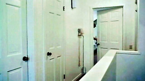 Retro 1985 Ball Busters uncensored porn hallway scene, Cal Vista studio