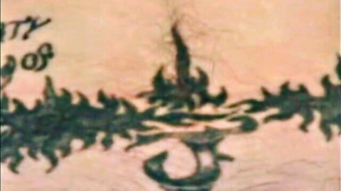 Closeup of woman's pubic mound with 'Property of' flame tattoo and bushy pubic hair teasing pussy
