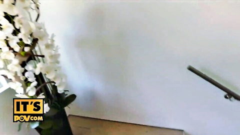 White orchids in vase against white wall with yellow Bovcom watermark