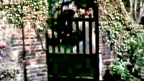 Vintage Color Climax Prick Teaser scene 12: mysterious ivy gate entrance