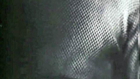 Blurry vintage porn thumbnail from Bucky Beaver's Stags Loops, obscured retro scene