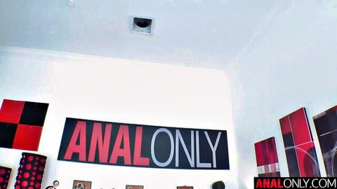 Bold ANAL ONLY banners decorate naughty room with red black checkered art.