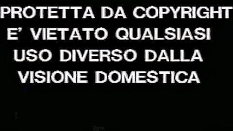 Italian copyright notice warning against non-domestic video use