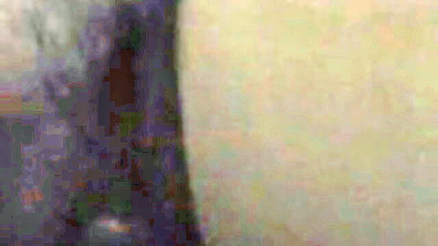 Blurry voyeur shot of South Asian Indian couple in wedding room teasing intimacy