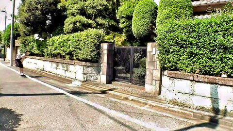 Young skateboarder rides past gated stone wall lined with lush green hedges