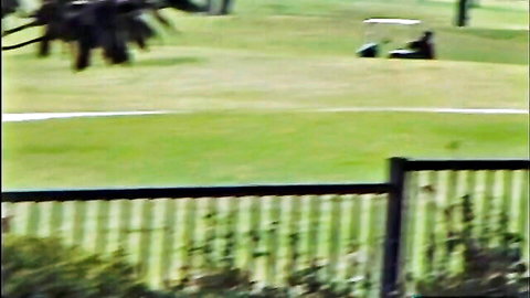Golf cart with two golfers on lush green golf course near black fence and palm trees