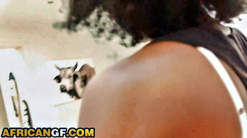 Thick ebony babe bends over showing juicy ass in tight white top with cow reflection in mirror