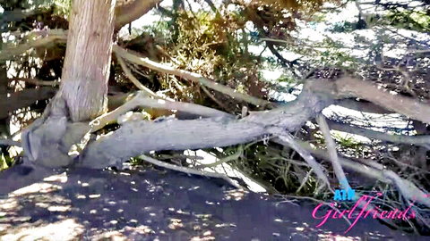 Serena Hill outdoor pose on tree roots, ATK Girlfriends 4K